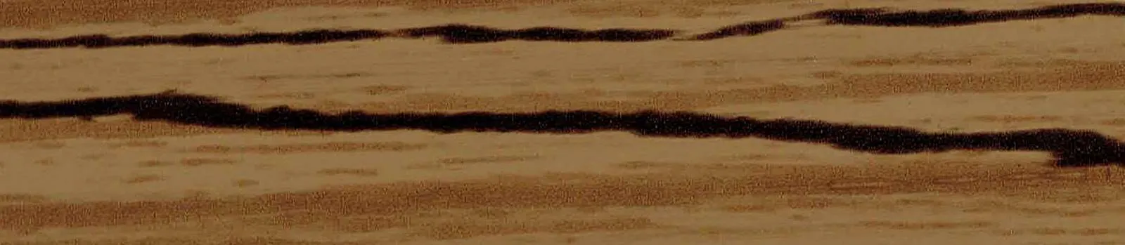 Işık Turkey H45