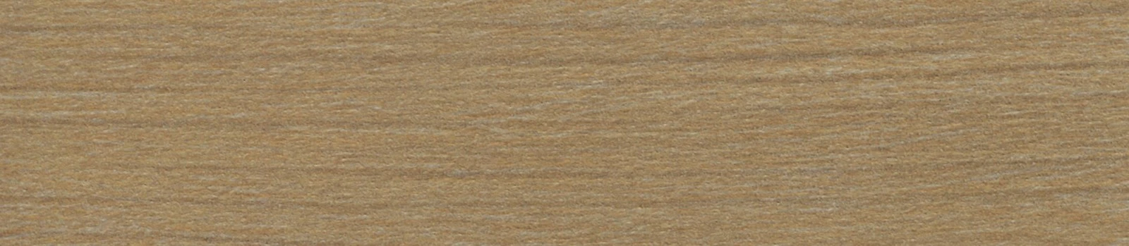 Gentaş 4565 SWISS ELM