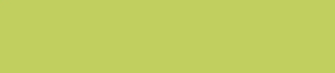 Hg. Lime Green PVC Kenar Bandı – 16301.012