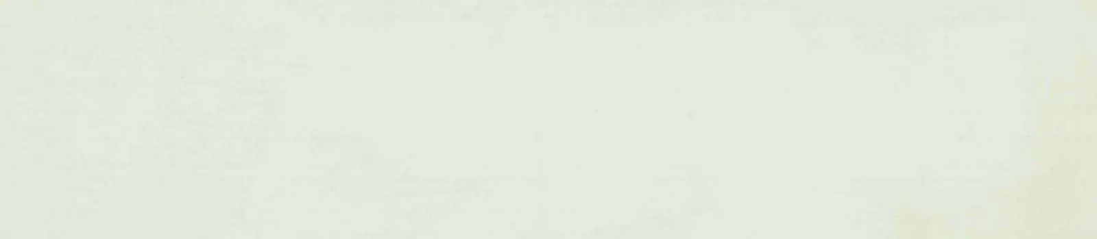 Hg. Acrilico Mussel Alto PVC Edgebanding – 17817.012