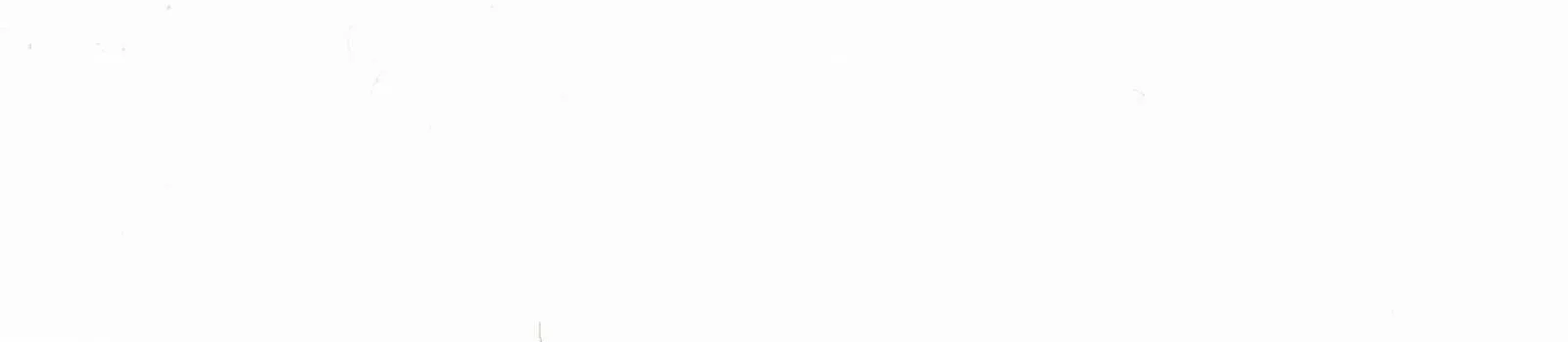 Ntrl-2 White Lily PVC Kenar Bandı – 19079.012