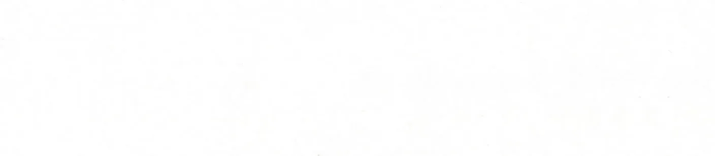 Astar Beyaz Melamine Edgebanding – 20990.022