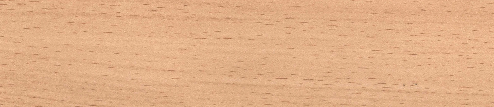 Falco Kayın 451 BANDE DE CHANT EN MÉLAMINE – 21046.022