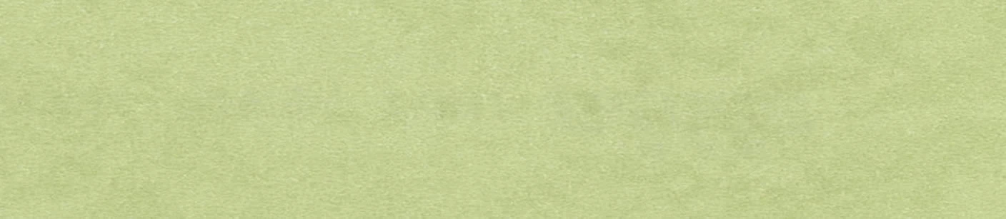 Yeşil Terra Melamine Edgebanding – 22079.022