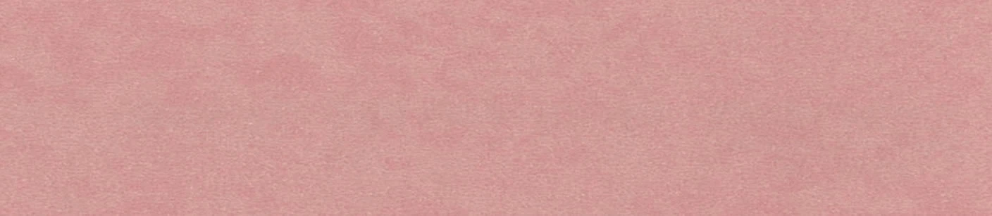 Çamsan PEMBE TERRA