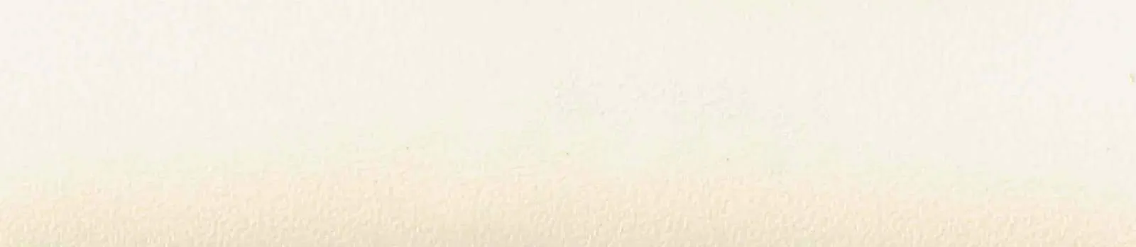Swisspan 0081 CREAM