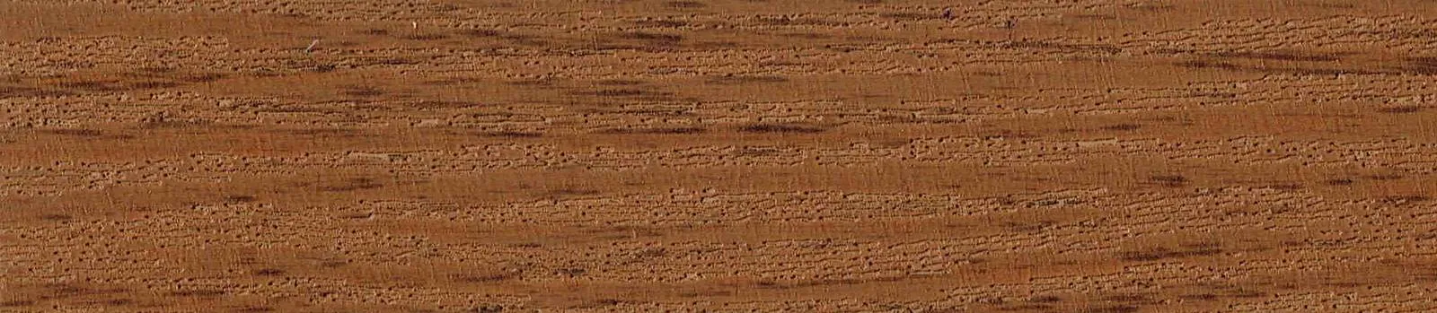 Swisspan 0008 HAZELNUT