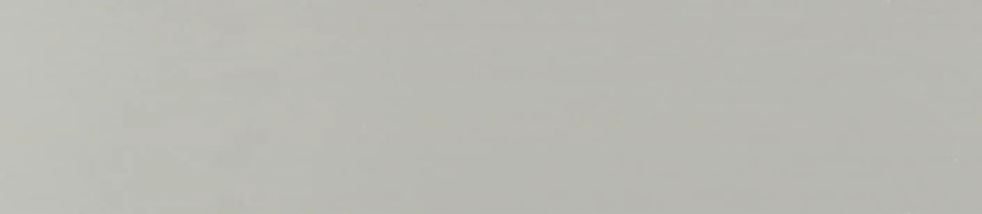 Hg. Folkstone Grey ABS Bande de chant – 42877.042