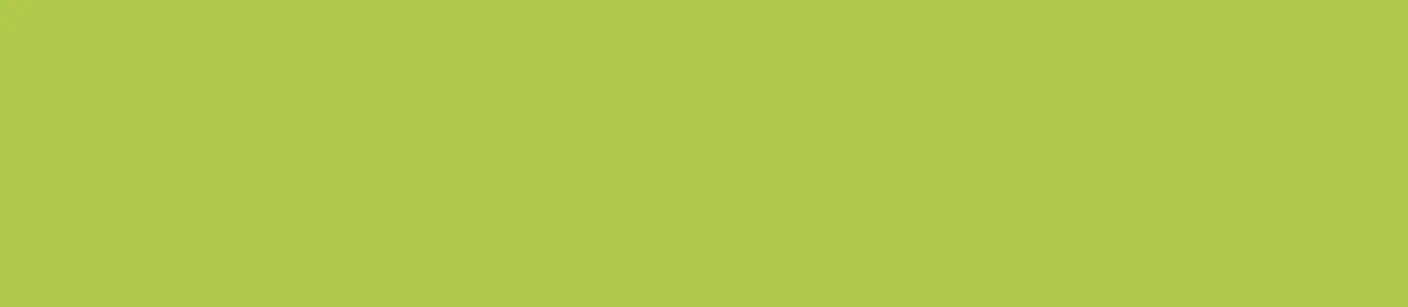 Lime Green ABS Edgebanding – 43113.042