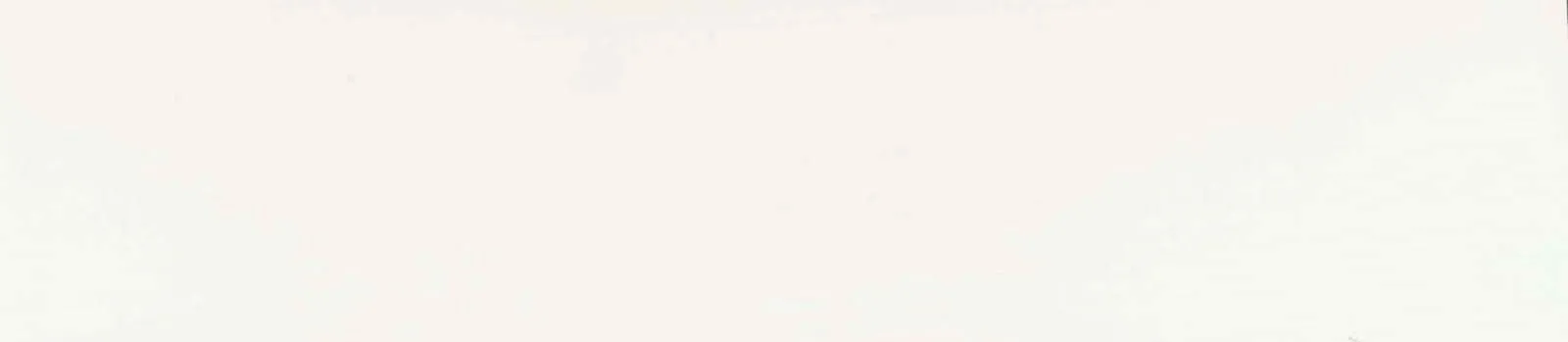 Hg. Lamigloss 3107 Cream ABS Edgebanding – 43177.042