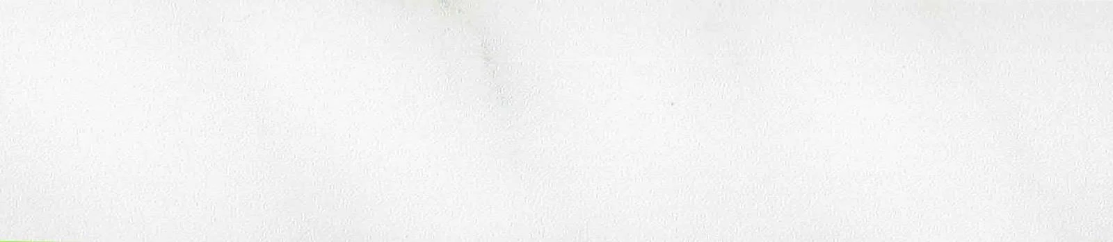 Ntrl-2. Blanco İbiza ABS Bande de chant – 43799.042