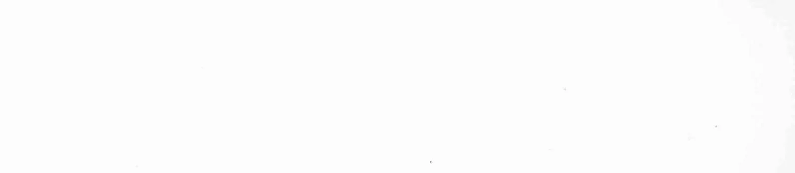 Hg. White Lily ABS Edgebanding – 43811.042