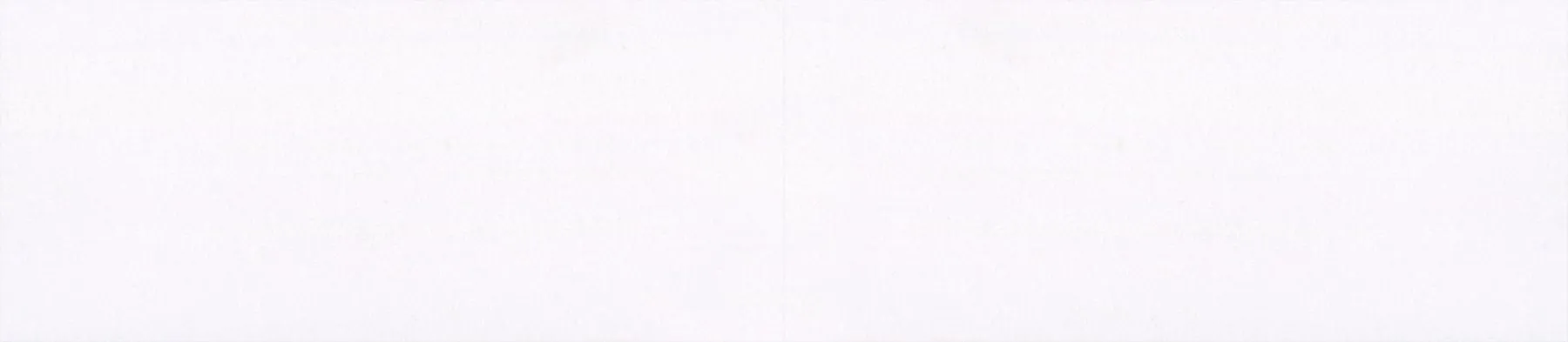Egger W1101 PM SOLID ALPINE WHITE