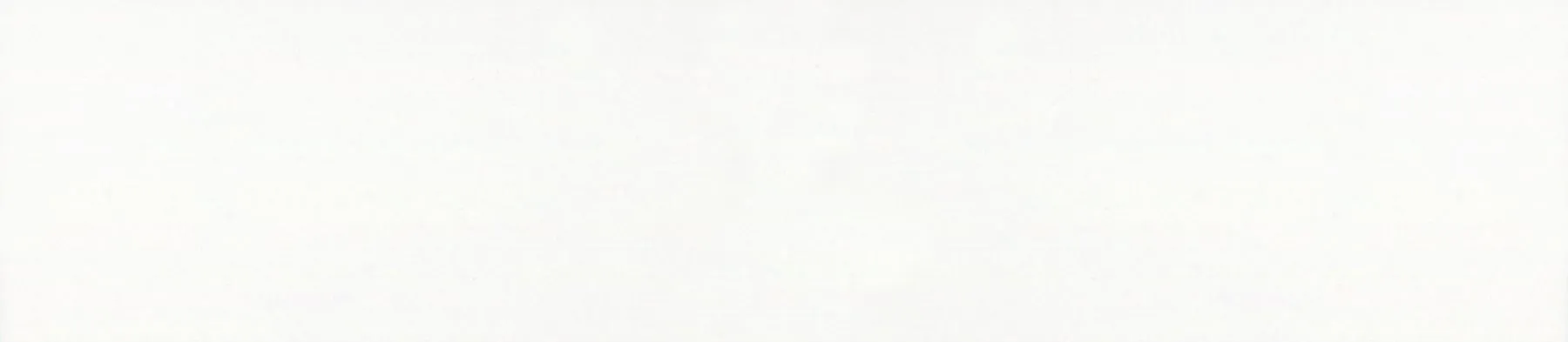 Egger W1001 PG SOLID PREMIUM WHITE