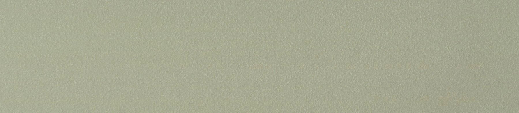 Emporio Skin 2541 AR VERDE LECCINO