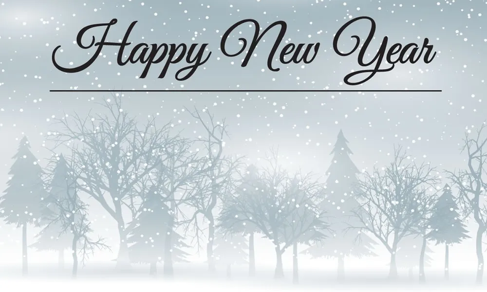 Goodbye 2017: Welcome 2018