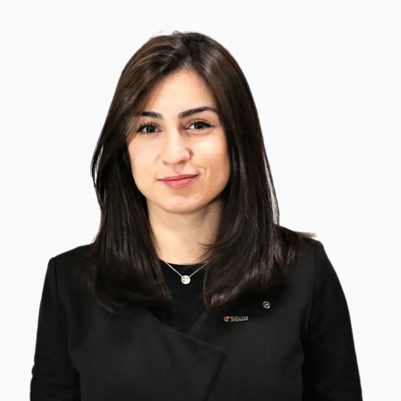 Aysen Inan