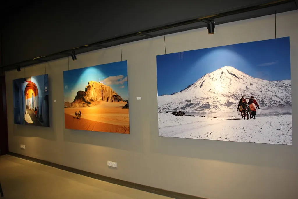 View from Gallery