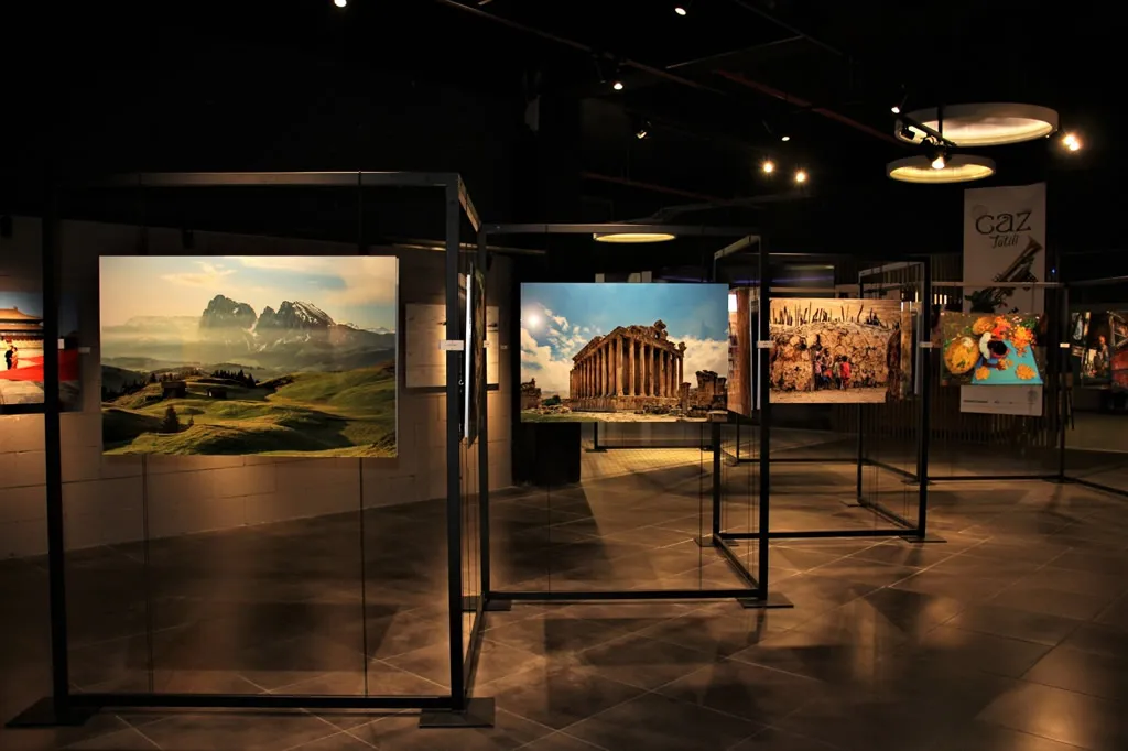View from Gallery