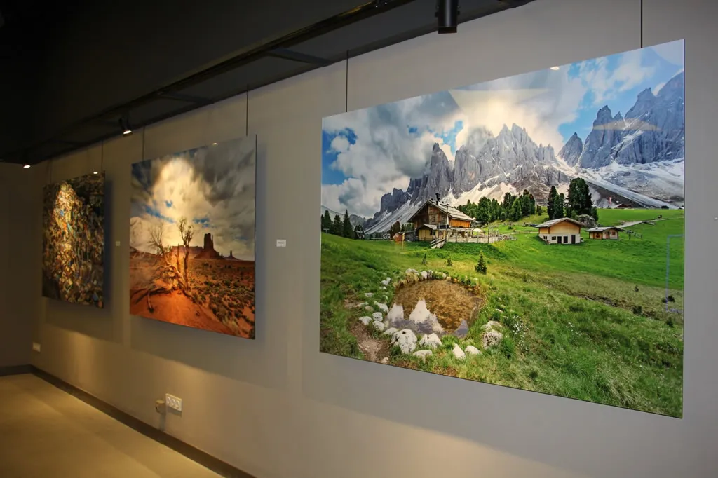 View from Gallery