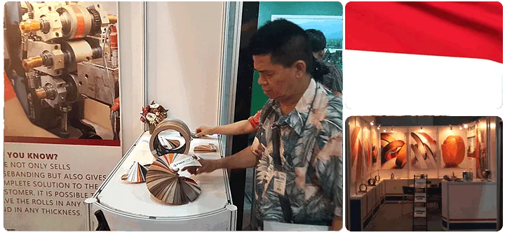 TECE was at IFMAC 2016