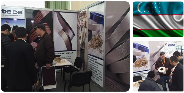 приняла участие в Mebelexpo 2017