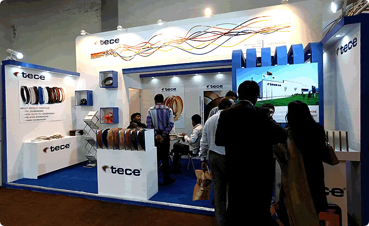 Tece Delhiwood 2013