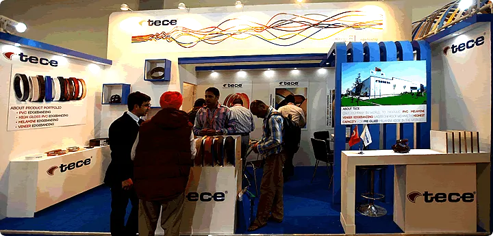 Tece Delhiwood 2013