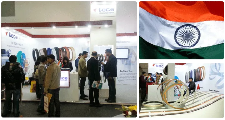 Тесе на выставке Delhiwood 2015