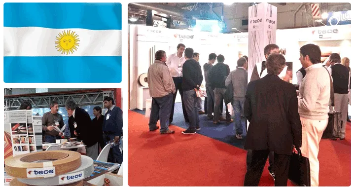 TECE WAS EN FITECMA 2013