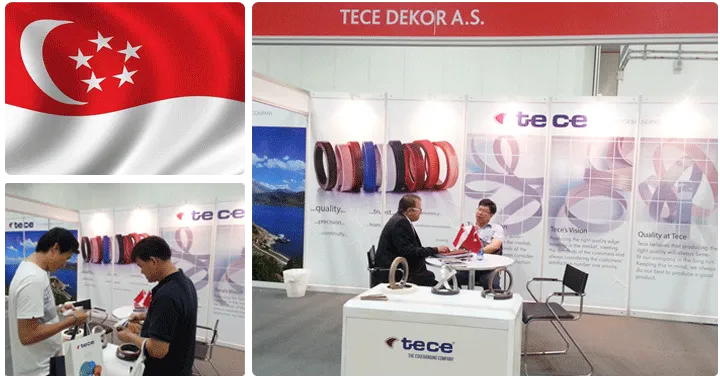 Tece Furnipro Asia 2014 Fuarında